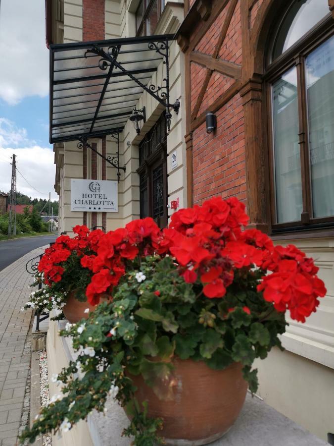 Hotel Charlotta Jedlina-Zdroj Exteriör bild